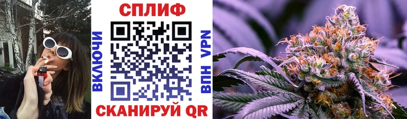 Наркота Урень ГАШ Галлюциногенные грибы Alpha-PVP Конопля Меф COCAIN